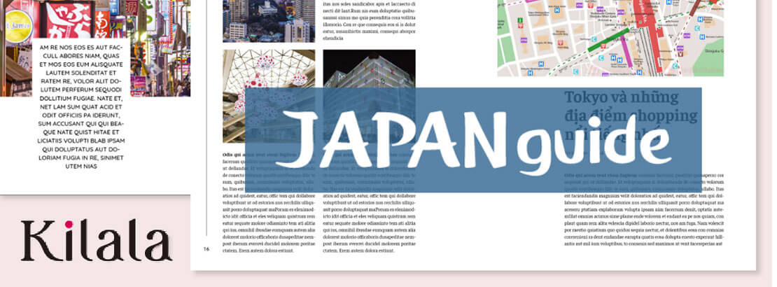 Issue Japan travel guidebook for Vietnamese tourist