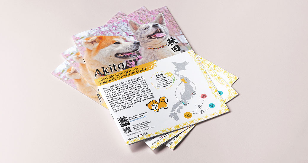 Brochure & Leaflet 5